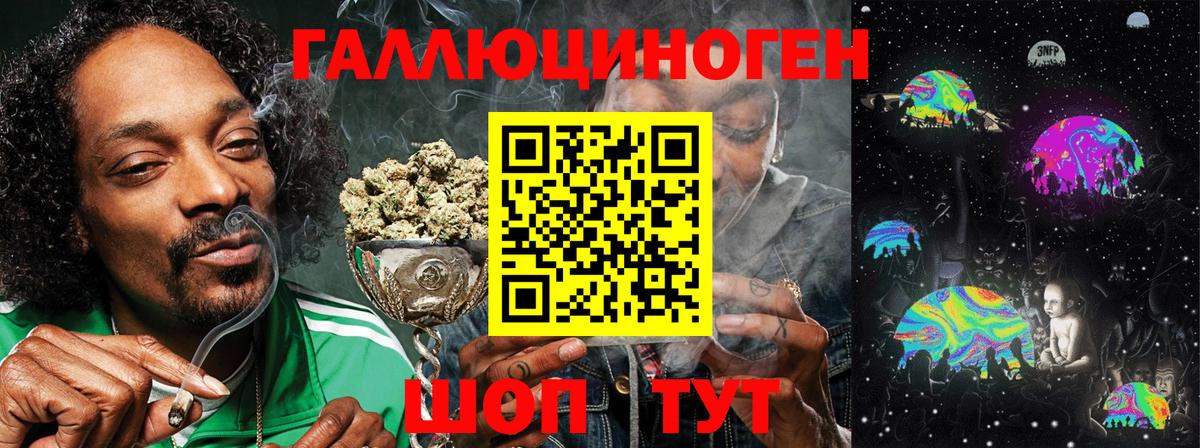 Галлюциногенные грибы мухоморы  Вход с VPN  Галлюциногенные грибы Psilocybe  Чита 