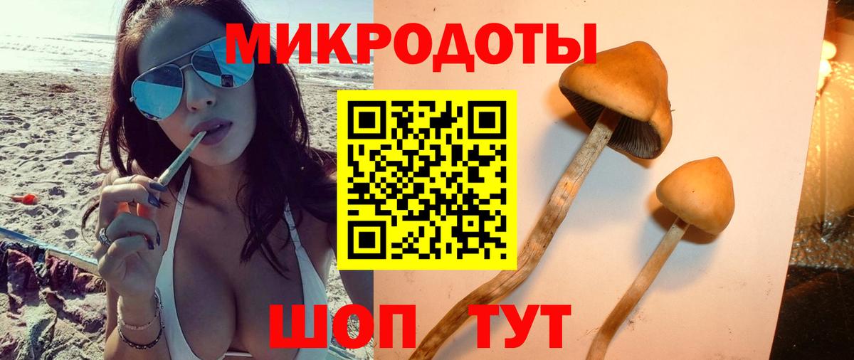 Псилоцибиновые грибы Magic Shrooms Чита